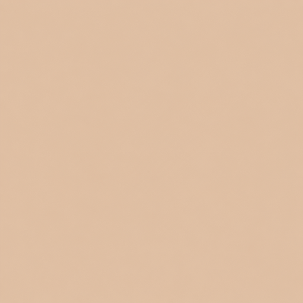 Lysvira Korean Color-Changing Foundation stick