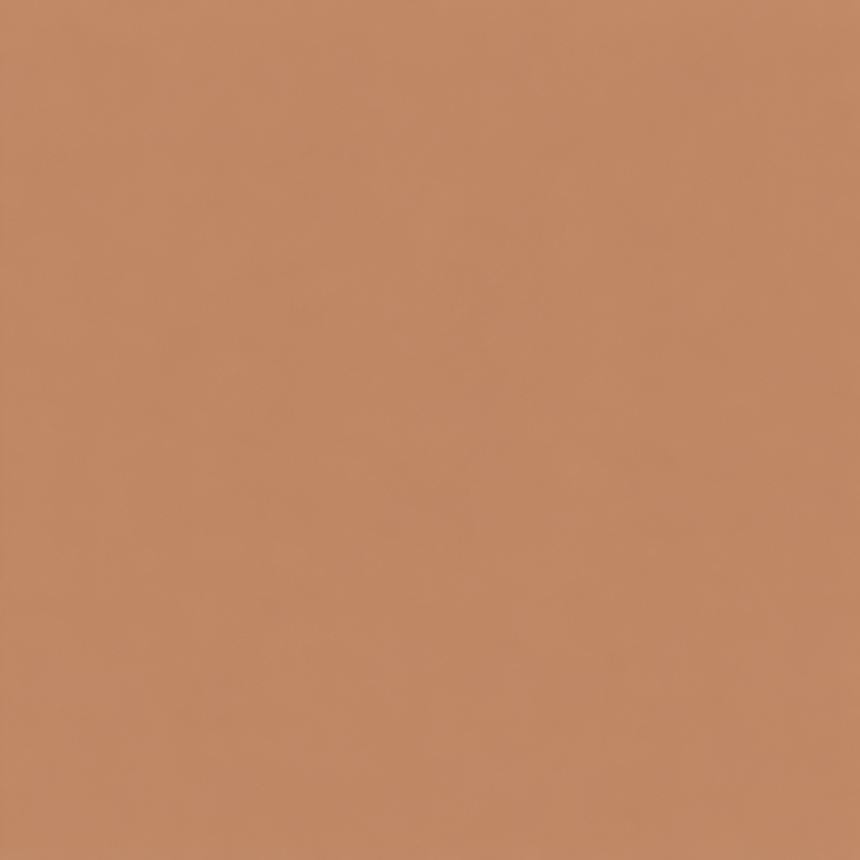 Lysvira Korean Color-Changing Foundation stick