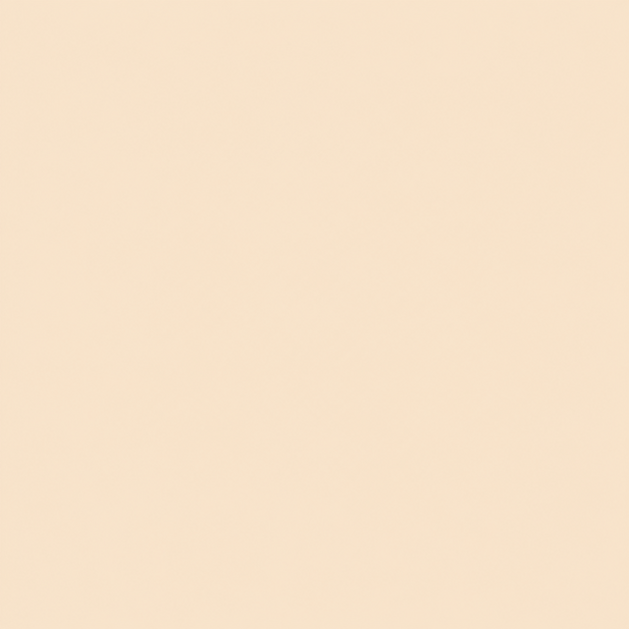 Lysvira Korean Color-Changing Foundation stick