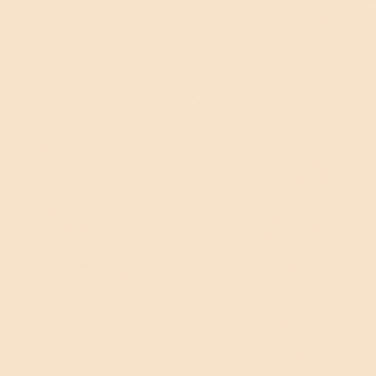 Lysvira Korean Color-Changing Foundation stick