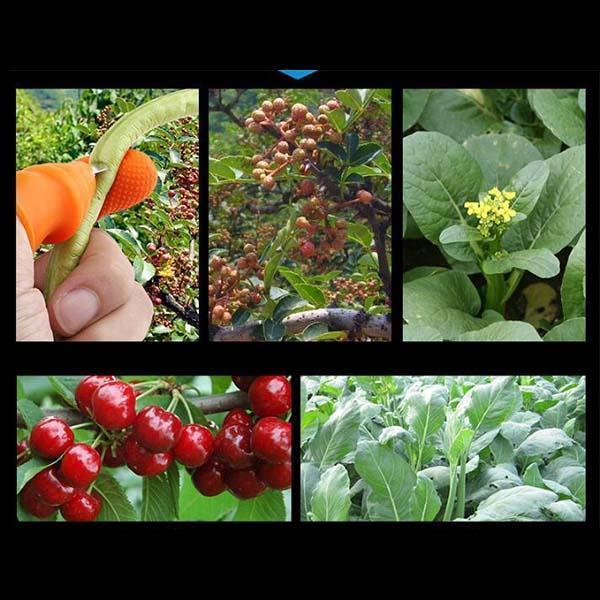 🌿👍 Thumb Knife for Gardening – Stainless Steel Finger Cutter for Vegetable, Fruit & Flower Harvesting