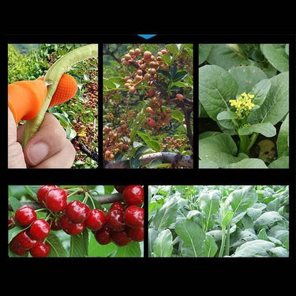 🌿👍 Thumb Knife for Gardening – Stainless Steel Finger Cutter for Vegetable, Fruit & Flower Harvesting