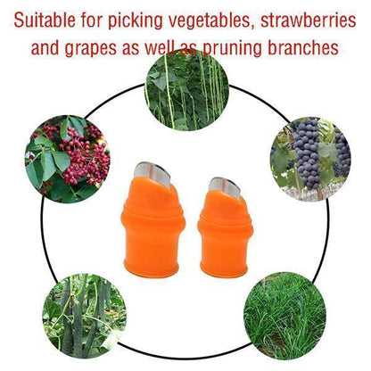 🌿👍 Thumb Knife for Gardening – Stainless Steel Finger Cutter for Vegetable, Fruit & Flower Harvesting