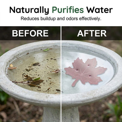 Keep Every Bird Bath Fresh & Clear — The Universal, Wildlife-Safe Leaf Purifier
