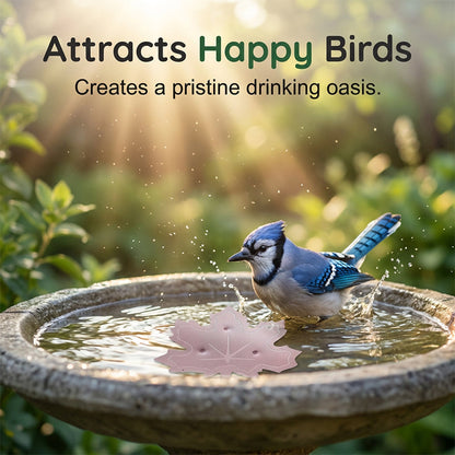Keep Every Bird Bath Fresh & Clear — The Universal, Wildlife-Safe Leaf Purifier